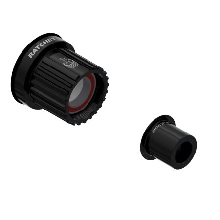 DT Swiss l Freebody l Shimano Microspline Ratchet LN