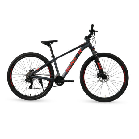 Sensor Exert 29 Sport Large